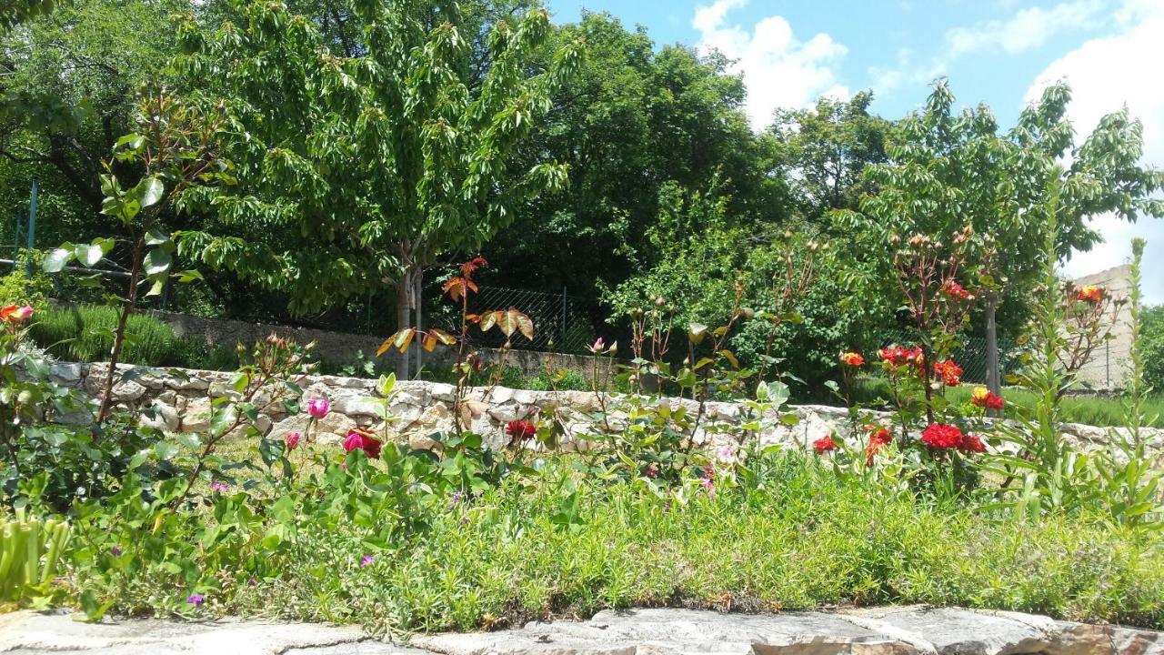 Villa Cetina Milasi Exterior foto