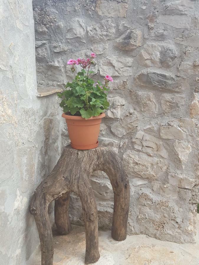 Villa Cetina Milasi Exterior foto